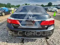 2013 Honda Accord photo