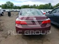 2013 Honda Accord photo