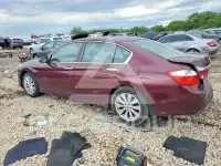 2013 Honda Accord фото