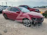 2013 Honda Accord photo