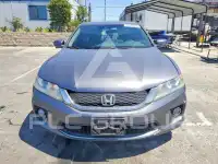 2013 Honda Accord photo