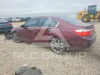 2013 Honda Accord photo