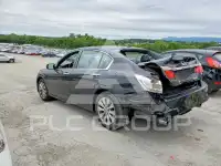 2013 Honda Accord фото