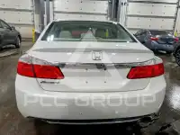 2013 Honda Accord photo