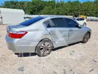 2013 Honda Accord photo