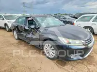 2013 Honda Accord photo