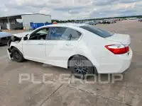 2013 Honda Accord photo