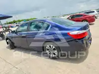 2013 Honda Accord photo