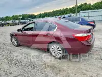 2013 Honda Accord photo