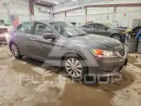 2013 Honda Accord фото