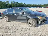 2013 Honda Accord photo