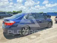 2013 Honda Accord photo