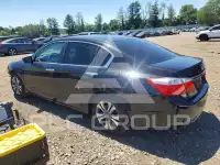 2013 Honda Accord photo