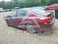 2013 Honda Accord photo