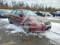 2013 Honda Accord фото