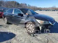 2013 Honda Accord photo