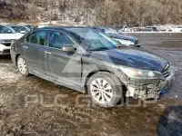 2013 Honda Accord photo