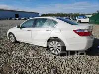 2013 Honda Accord photo