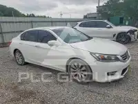 2013 Honda Accord photo