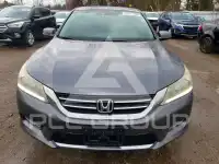 2013 Honda Accord photo