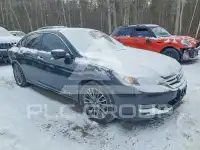 2013 Honda Accord photo
