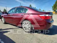 2013 Honda Accord photo