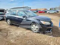 2013 Honda Accord фото