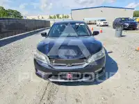 2013 Honda Accord фото