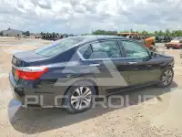 2013 Honda Accord photo