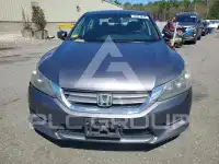 2013 Honda Accord photo