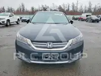 2013 Honda Accord фото