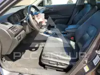 2013 Honda Accord фото