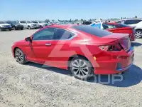2013 Honda Accord фото