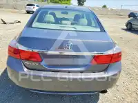 2013 Honda Accord фото