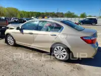 2013 Honda Accord фото