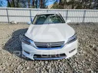 2013 Honda Accord photo