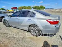 2013 Honda Accord photo