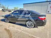 2013 Honda Accord photo