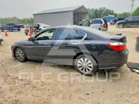2013 Honda Accord фото