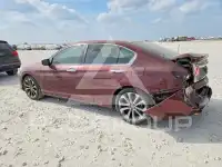 2013 Honda Accord фото