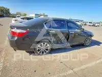 2013 Honda Accord photo