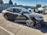 2013 Honda Accord photo