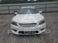 2013 Honda Accord photo