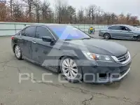 2013 Honda Accord photo