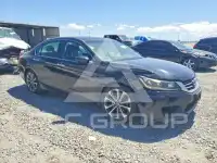 2013 Honda Accord photo