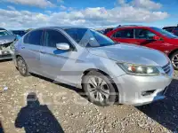2013 Honda Accord photo