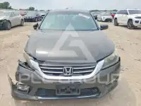 2013 Honda Accord фото