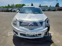 2013 Cadillac SRX фото