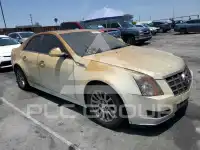 2013 Cadillac CTS фото
