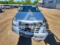 2013 Cadillac CTS фото